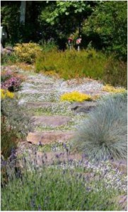 Garden Vision Landscape Design Landscape Design Service